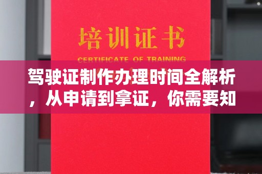 东阿驾驶证制作办理时间全解析，从申请到拿证，你需要知道的一切