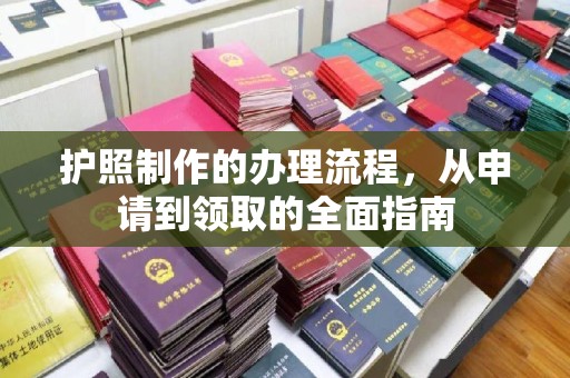 东阿护照制作的办理流程，从申请到领取的全面指南