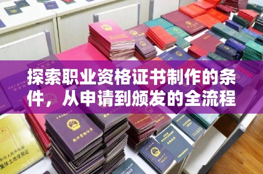 东阿探索职业资格证书制作的条件，从申请到颁发的全流程解析