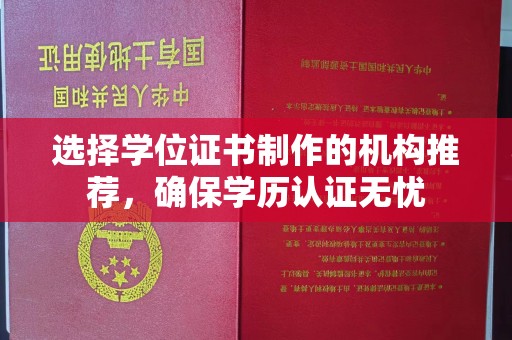 东阿选择学位证书制作的机构推荐，确保学历认证无忧
