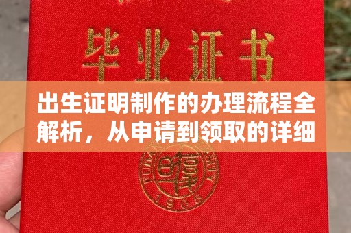 东阿出生证明制作的办理流程全解析，从申请到领取的详细指南