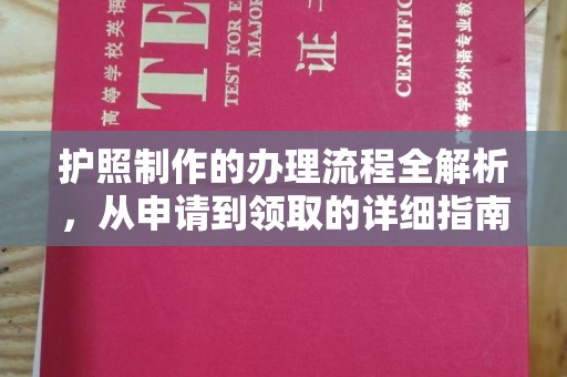 东阿护照制作的办理流程全解析，从申请到领取的详细指南
