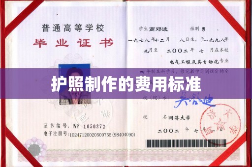 东阿护照制作的费用标准